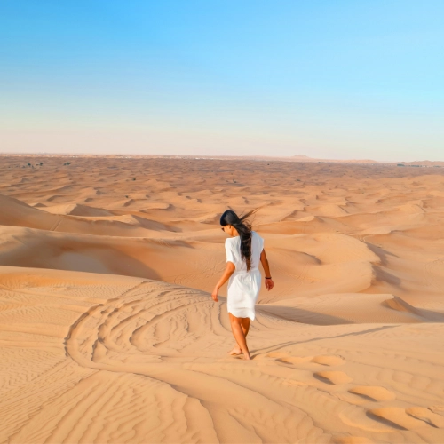 the desert safari experience