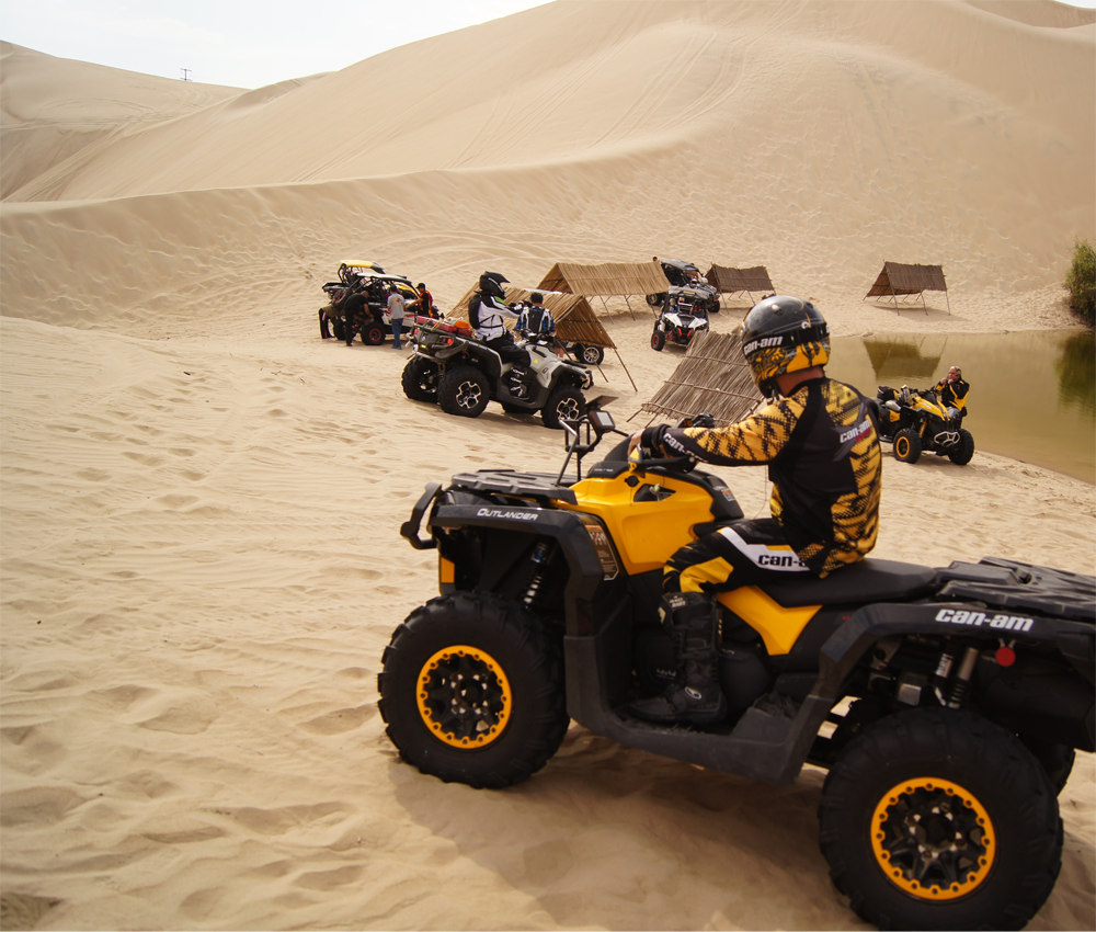 desert and safari