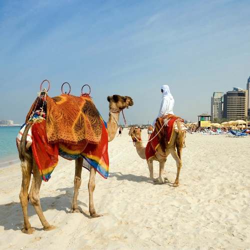 layover transit tours from dubai airport